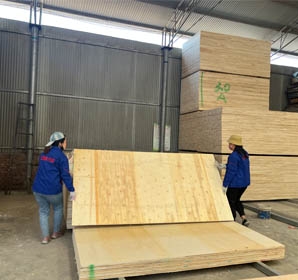 三聚氰胺生态板